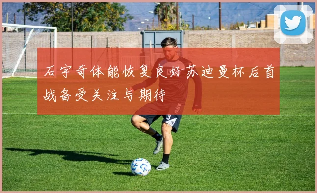 石宇奇体能恢复良好苏迪曼杯后首战备受关注与期待